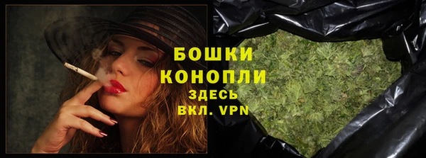 шишки Бородино