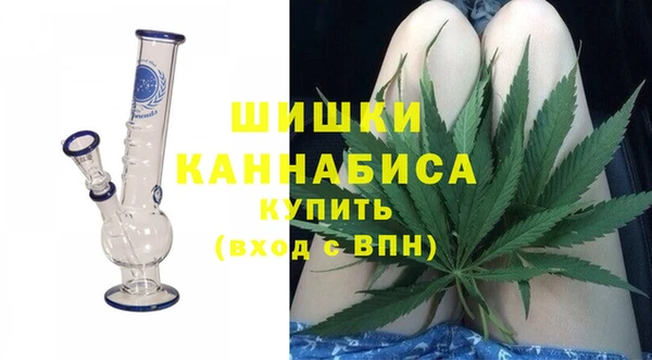 шишки Бородино