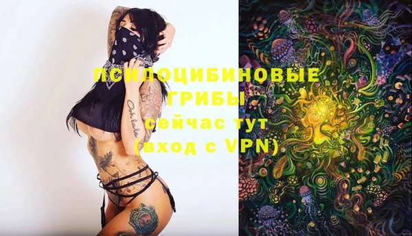 бошки Бугульма