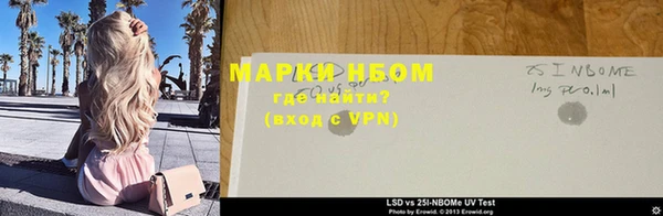 шишки Бородино
