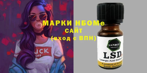 шишки Бородино
