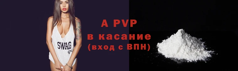 шишки Бородино