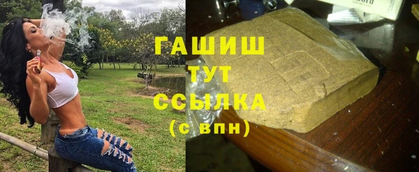 шишки Бородино