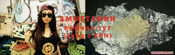 шишки Бородино