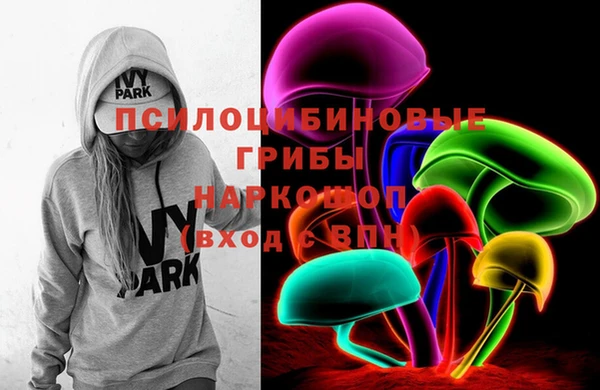 шишки Бородино