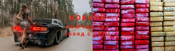 шишки Бородино