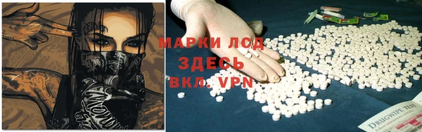 шишки Бородино