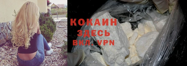 шишки Бородино